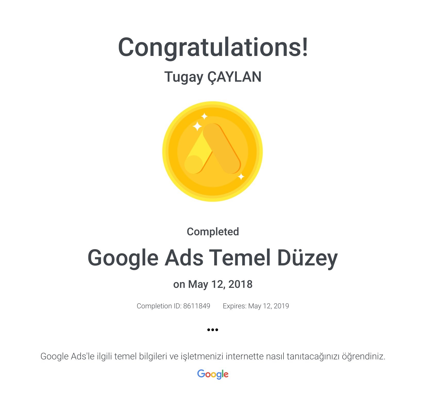 Google Ads Temel Duzey Google